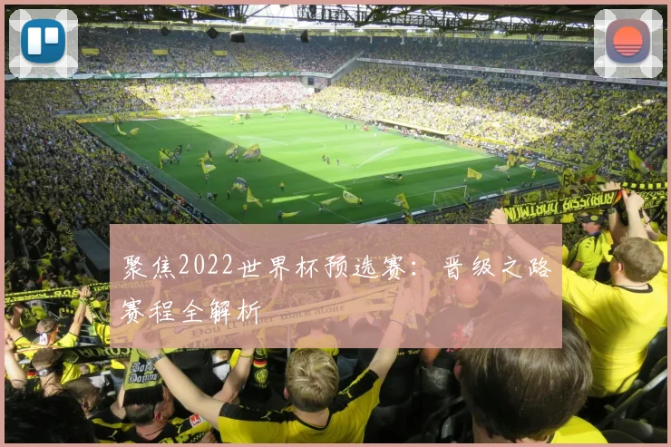 聚焦2022世界杯预选赛：晋级之路赛程全解析
