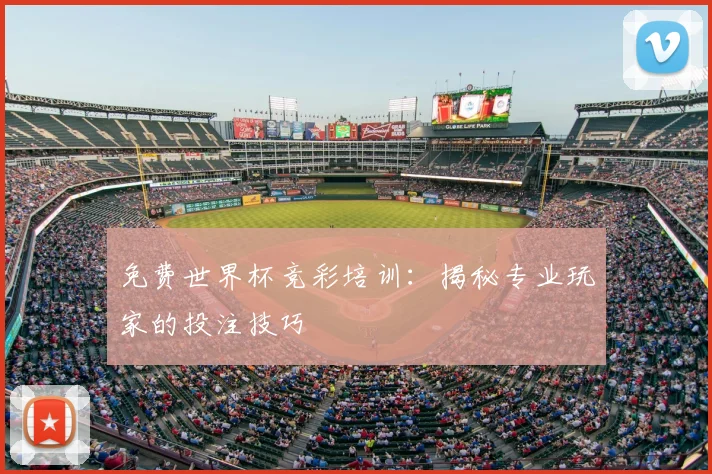 免费世界杯竞彩培训：揭秘专业玩家的投注技巧